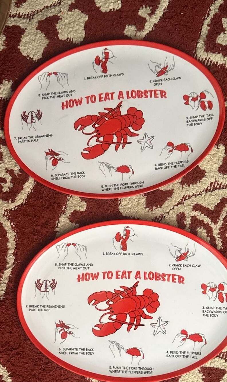 HOW TO EAT A LOBSTER Plastic Set Of 2 Plates/Trays Melamine Plastic 7 Steps! S7
